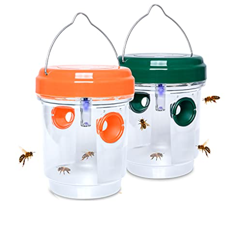 Solar Wasp Traps Hanging Yello - đánh giá và giá Bug Catching Kit