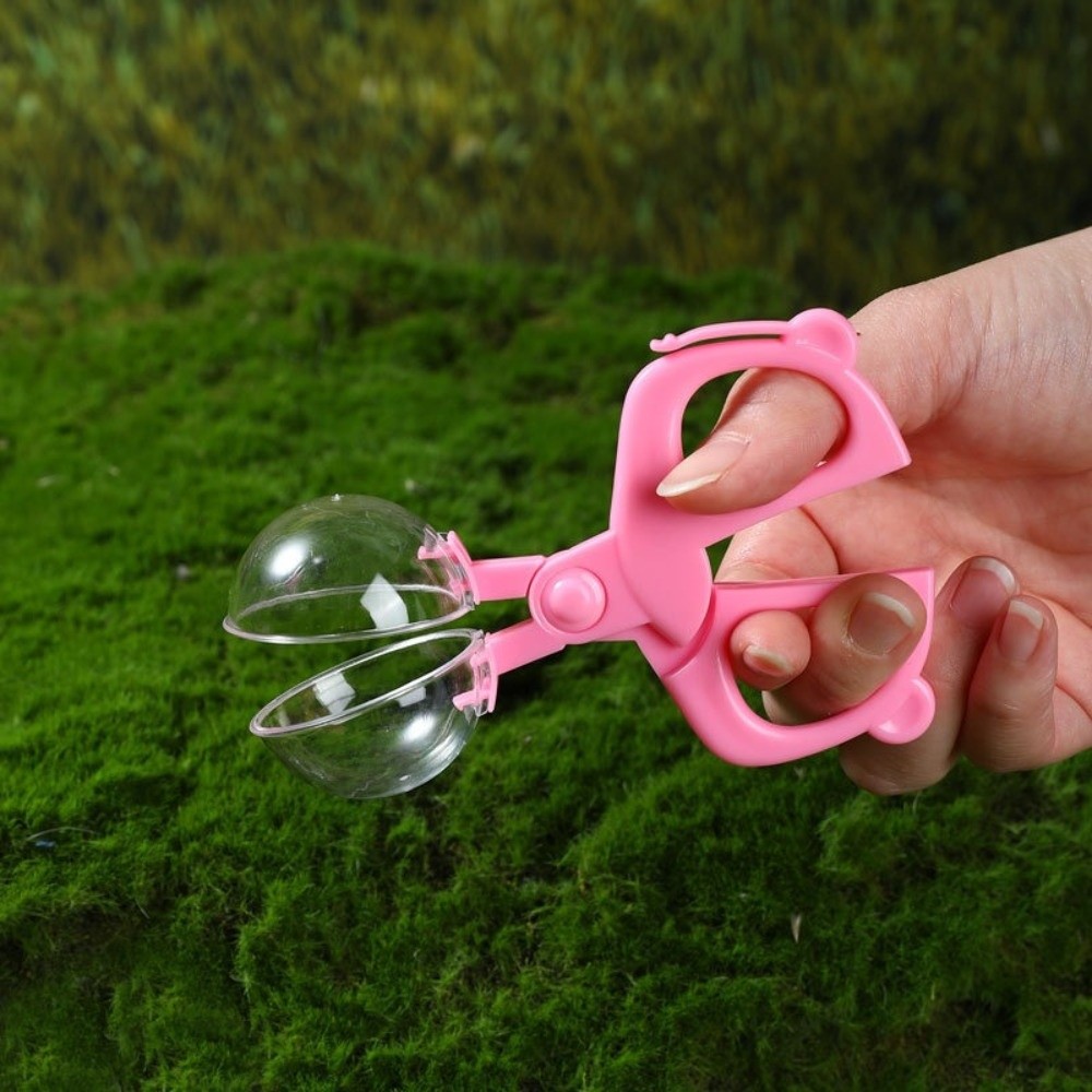 Plastic Kids Outdoor Explorer  - đánh giá và giá Kids Outdoor Kit
